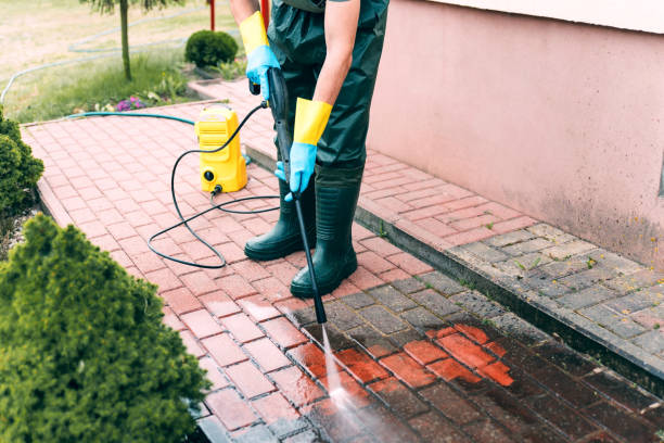 Best Concrete Pressure Washing  in Wartburg, TN