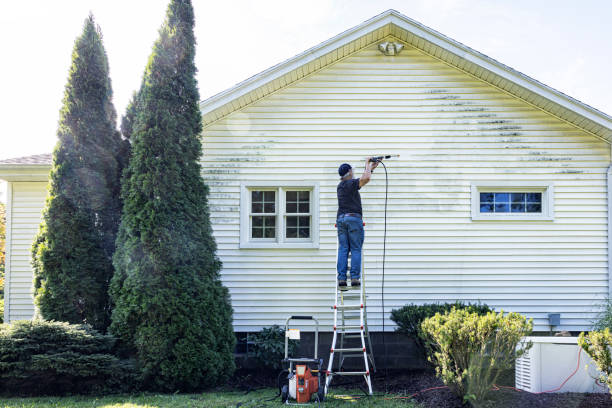  Wartburg, TN Pressure Washing Pros