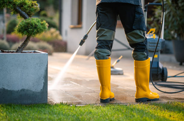 Best Roof Pressure Washing  in Wartburg, TN